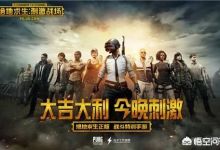 手游绝地求生是靠什么利润的？