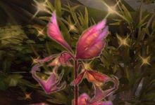 畅玩魔兽世界8.1，非RMB玩家3个赚钱技巧，再也无须充月卡