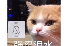 打个塔爷还被队友“掰弯”了？回忆我在永恒之塔爱上人妖的经历