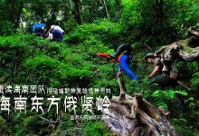【走读第24期】探险喀斯特原始热带雨林——海南东方俄贤岭