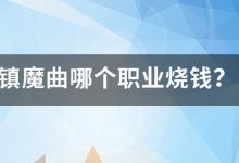 镇魔曲哪个职业烧钱？