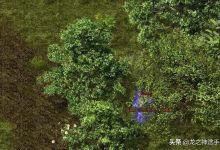 传奇手游：玩传奇手游真的能赚到钱吗？