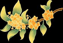 大闹月宫？叉出去！月宫护桂指南来袭，金秋桂花树“真香”上线！
