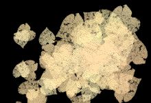 这酒哪里贵了？白送好吗！新老用户大回馈登场，秋天第三杯酒点击查收！
