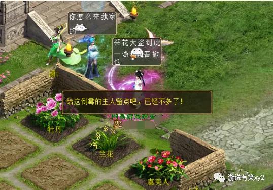 大话西游2街坊采花才能赚钱和经验!分享采花心得