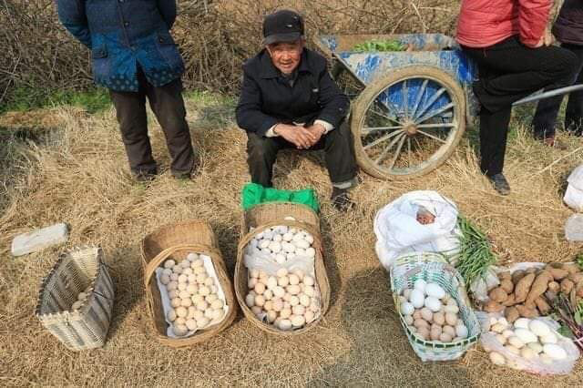 一位女士問道：「老闆，你的蛋怎麼賣？」  賣蛋的老頭回答：「一個蛋5元，女士。」