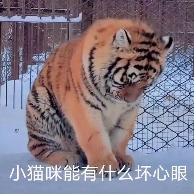 天谕手游云币交易太严格愁坏玩家！搬砖党苦心钻研，分享倒金诀窍