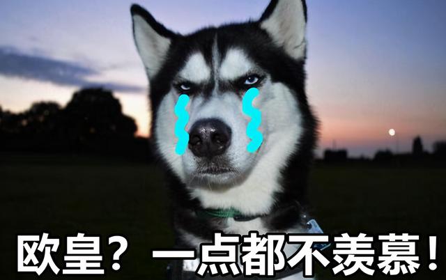 用命搬砖？天谕手游欧皇合9孔魂器血赚10亿，网友：买点补品吧