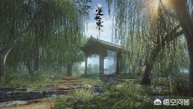 如何评价《逆水寒》这款游戏？