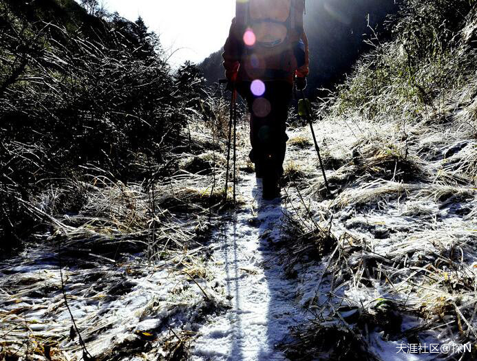 31号元旦。神农架穿越。冰雪原始森林。滑雪啦。走起。