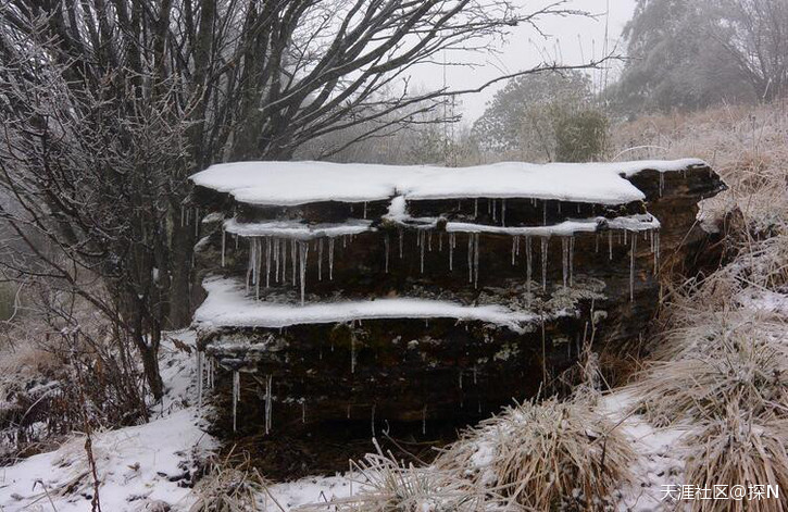 31号元旦。神农架穿越。冰雪原始森林。滑雪啦。走起。