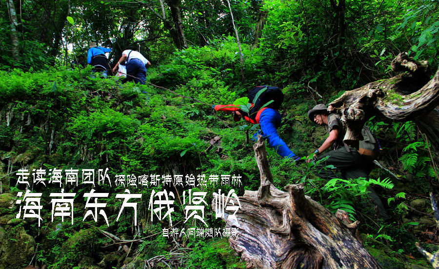【走读第24期】探险喀斯特原始热带雨林——海南东方俄贤岭