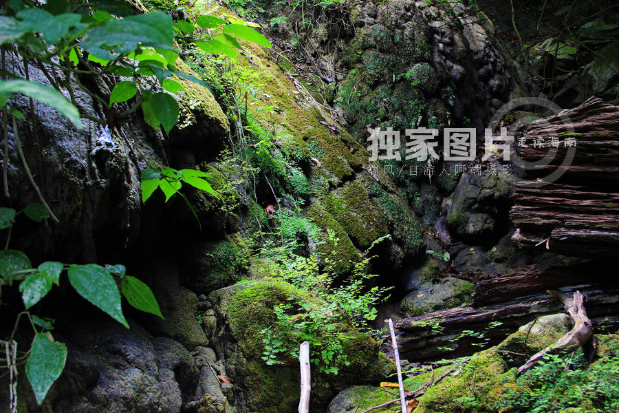 【走读第24期】探险喀斯特原始热带雨林——海南东方俄贤岭