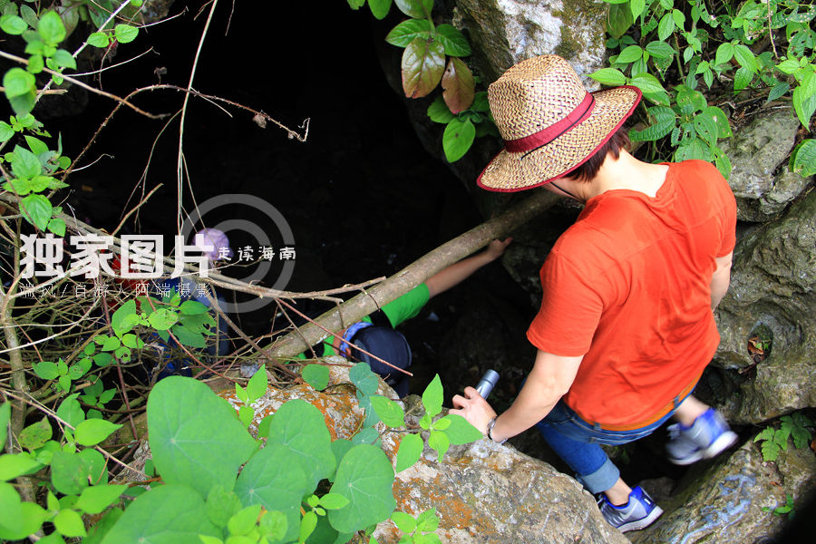 【走读第24期】探险喀斯特原始热带雨林——海南东方俄贤岭