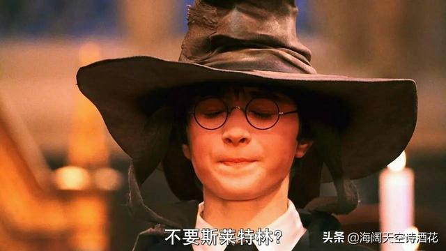 为什么觉得哈利波特是个废柴？